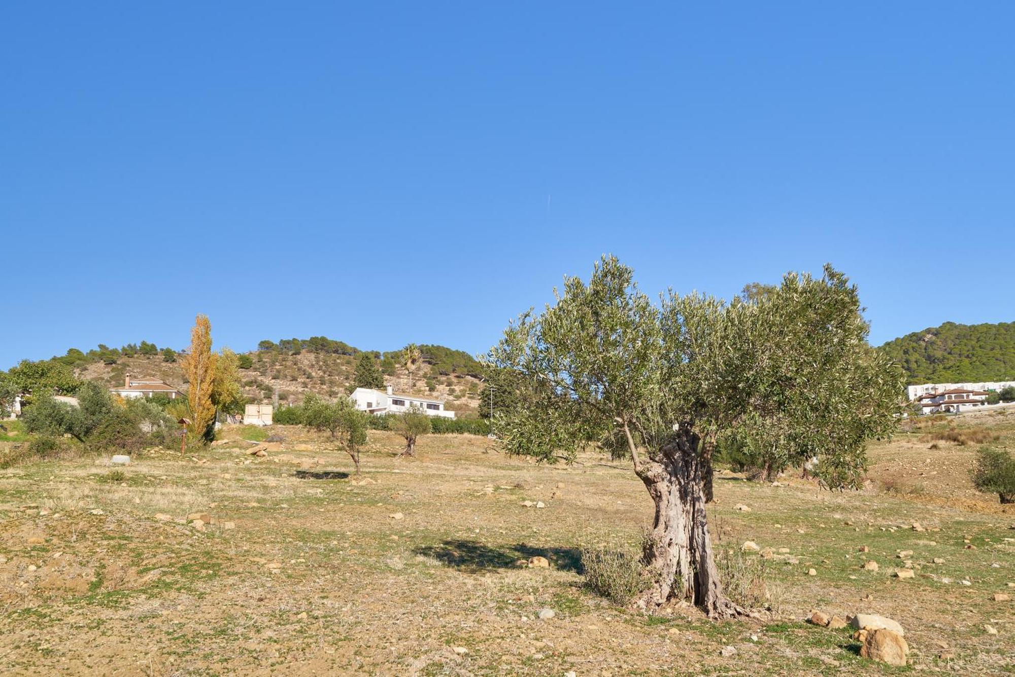 Finca Alcaparain Con Piscina En Caminito Del Rey-Carratraca Екстер'єр фото